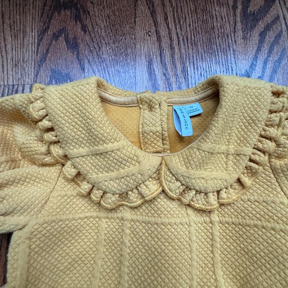 Janie and Jack Mustard Equestrian Collared Dress Sz 2 - Picture 3 of 10